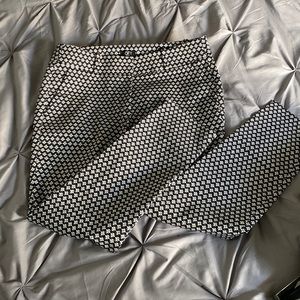Ann Taylor Loft dress pants